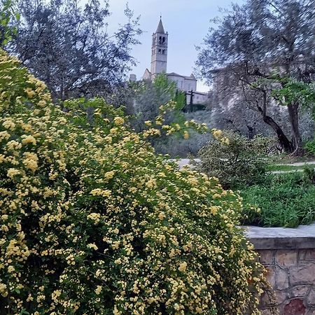 La Casa Di Famiglia Lejlighed Assisi Eksteriør billede