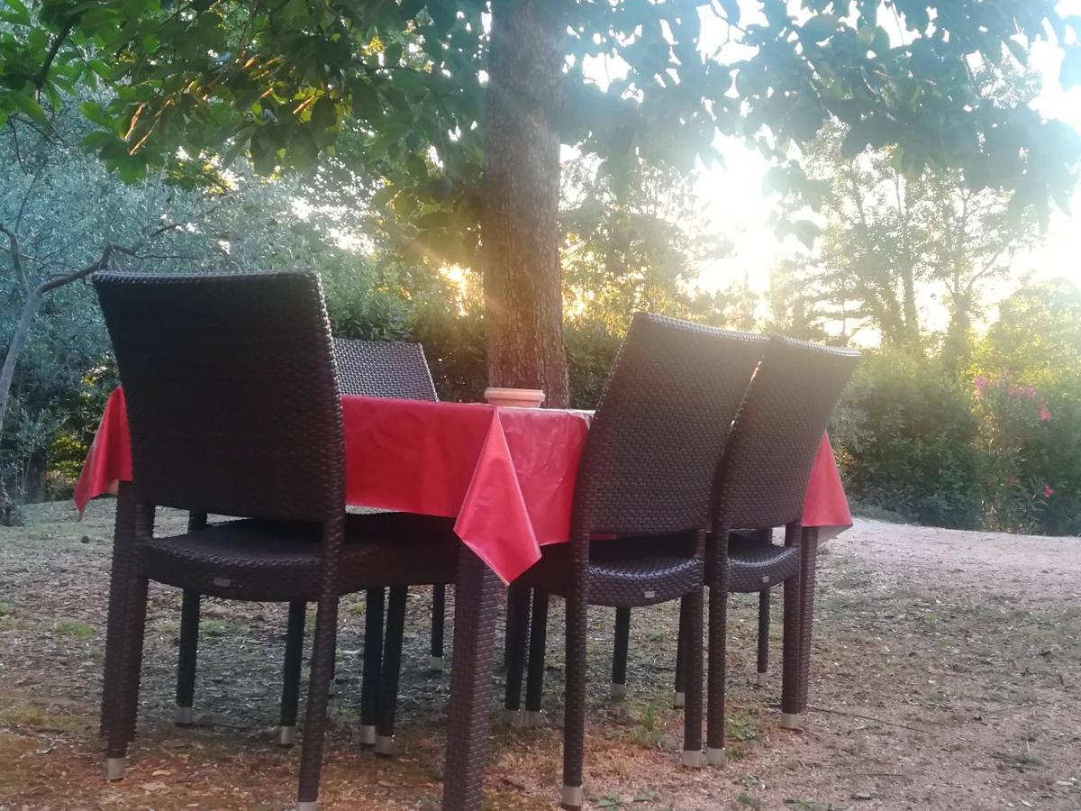 La Casa Di Famiglia Lejlighed Assisi Eksteriør billede