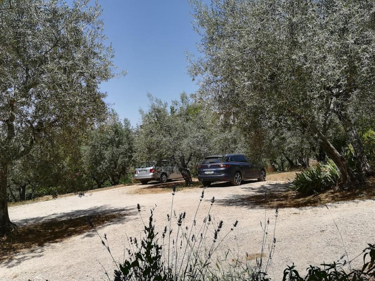 La Casa Di Famiglia Lejlighed Assisi Eksteriør billede