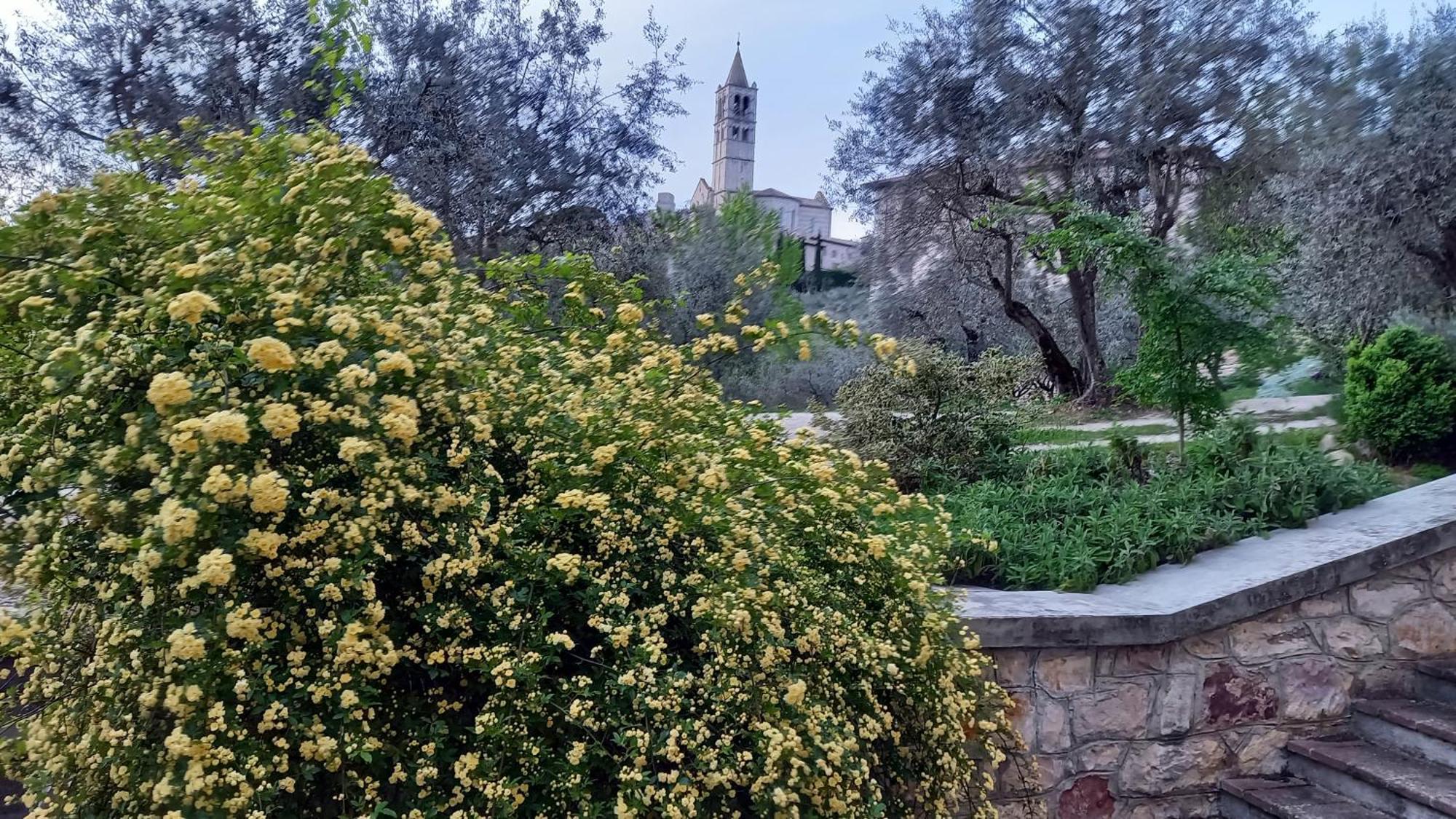 La Casa Di Famiglia Lejlighed Assisi Eksteriør billede